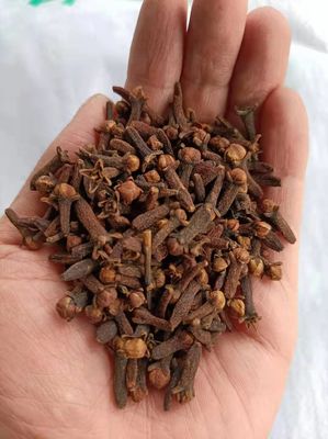 Được chứng nhận QS về các loại thảo mộc y học cổ truyền Trung Quốc Đinh hương khô nâu