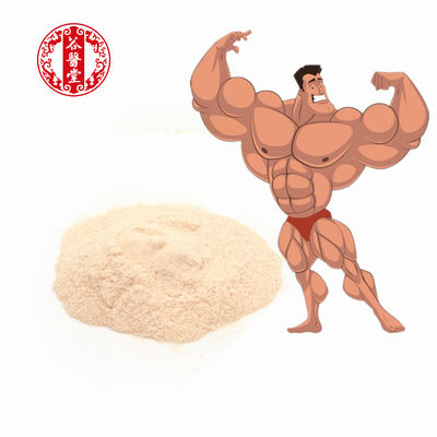 20g / Túi Thực phẩm dinh dưỡng thể thao Mass Gainer Iso 100 Whey Protein Powder