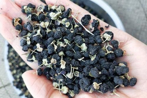 Đóng gói OEM Nước uống thảo mộc Trung Quốc Trà Goji Berry đen khô nguyên chất